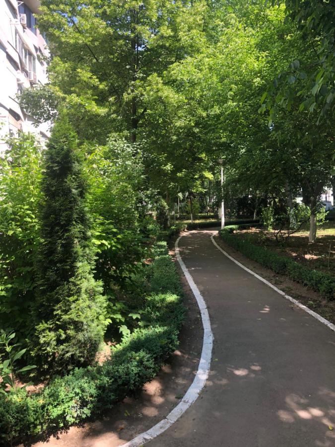 Laguna Apartament Braila Ngoại thất bức ảnh